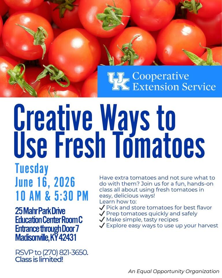 Creative Ways to Use Fresh Tomatoes